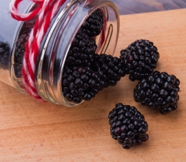 Blackberry